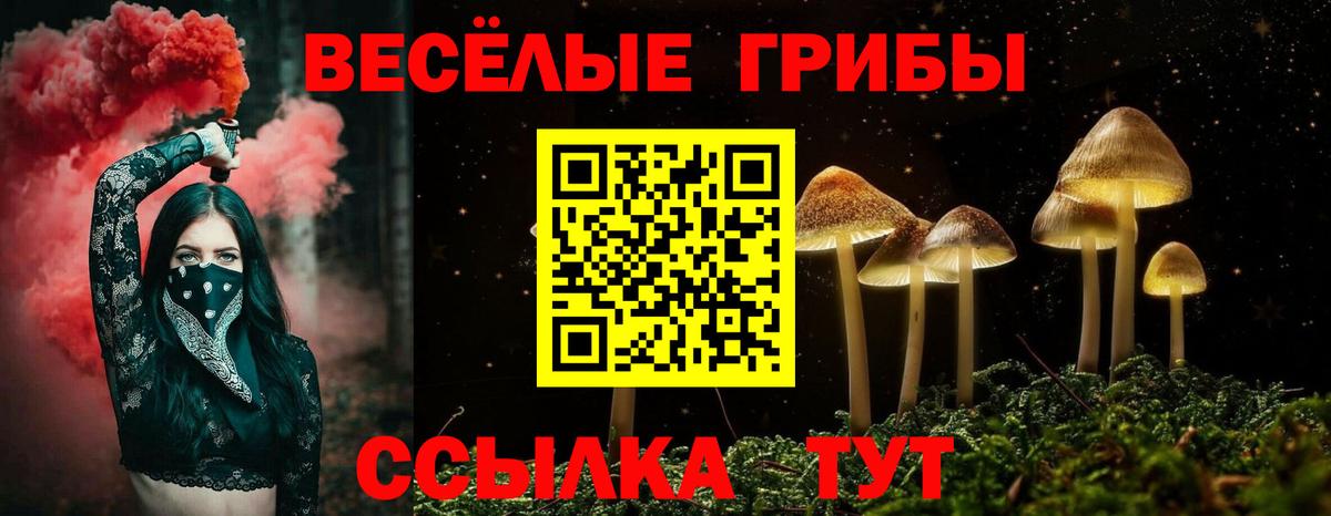 наркотики  Вход с VPN  Геленджик  Галлюциногенные грибы MAGIC MUSHROOMS 